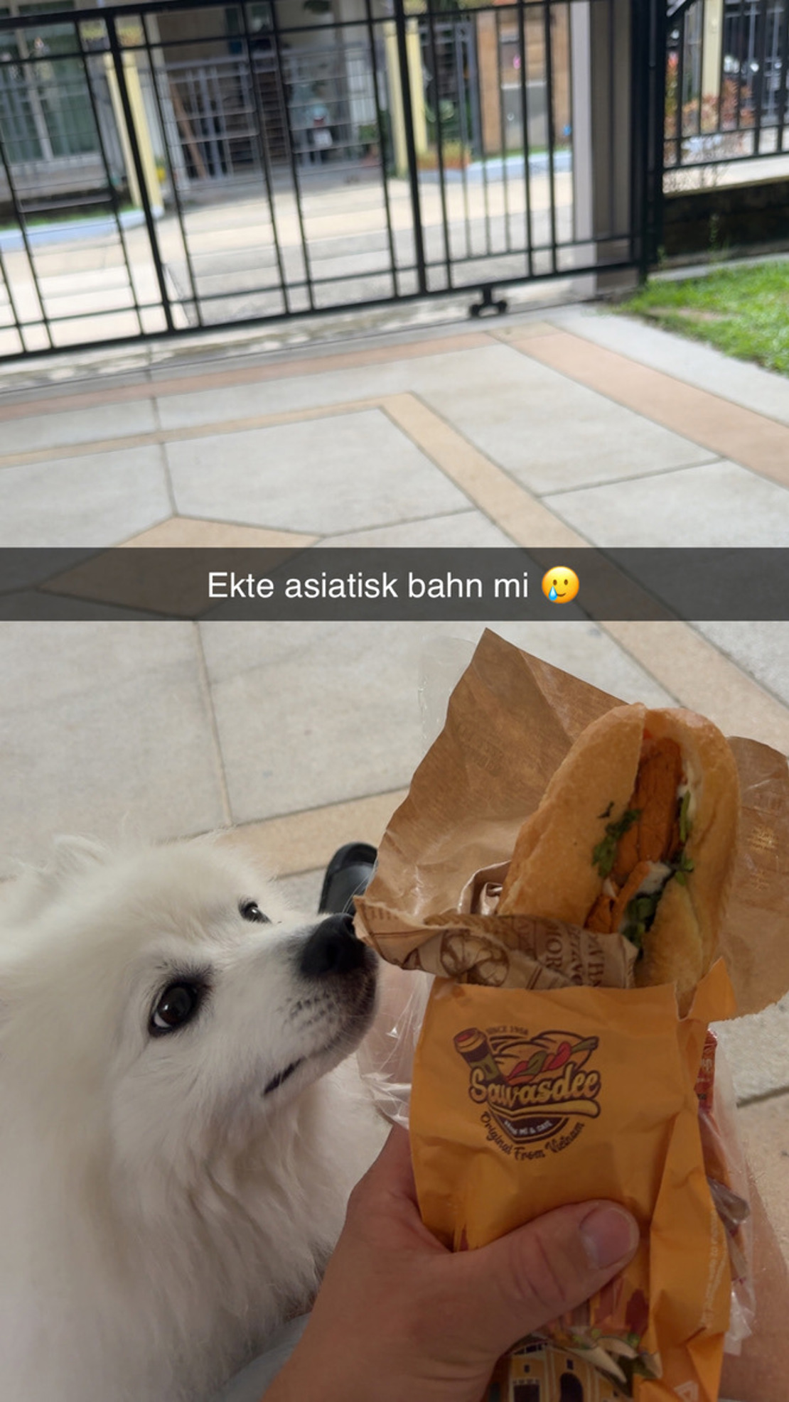Fornøyd med å finne vietnamesisk Bahn Mi