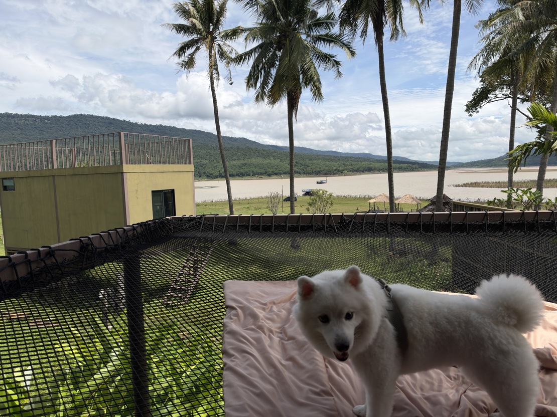 Bonzo i Khao Yai