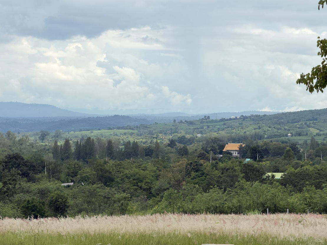 Utsikt over naturen i Khao Yai