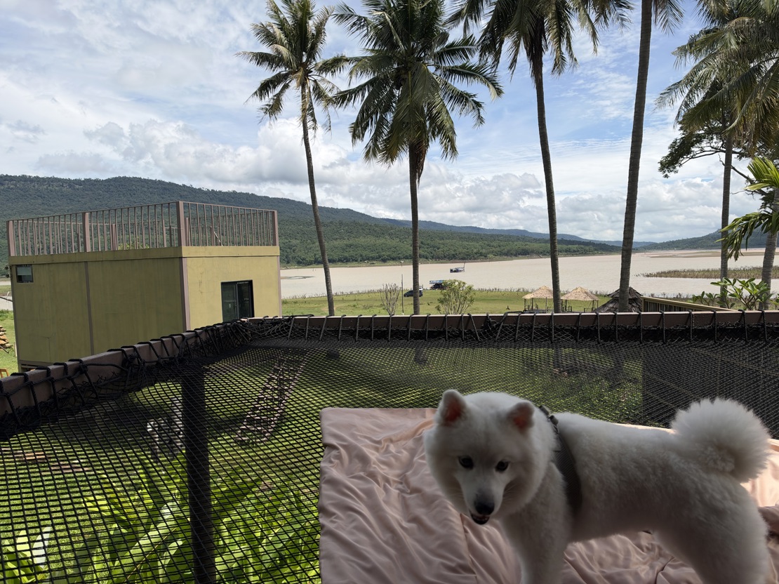 Bonzo i Khao Yai