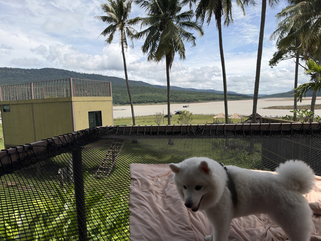 Bonzo i Khao Yai